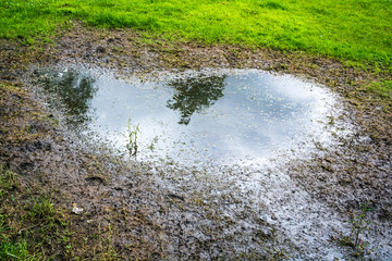 Muddy pond on a grass field in a park in UK summer