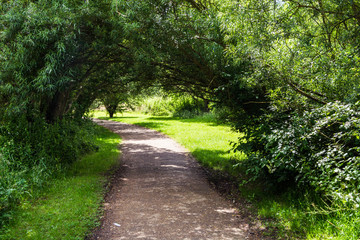 Obraz premium Footpath under the shade of trees on sunny day in summer, Milton Keynes, UK