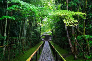 Fotobehang Kyoto Daitokuji Kotoin-tempel © Route16