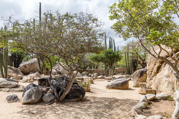 Landscaped Rock Garden in Aruba