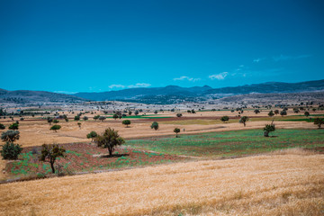 Obraz premium farmland in konya