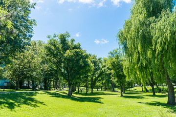 北海道大学　中央ローン