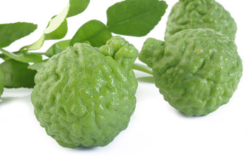 Obraz premium bergamot with leaf on white background