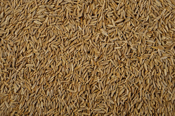 cumin seeds background