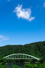 Obraz premium 紫陽花と橋