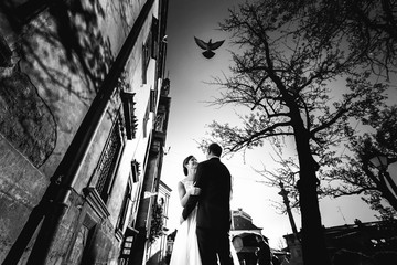 Pigeon flies over the happy newlyweds posing on the street