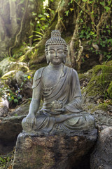Fototapeta na wymiar Statue de Bouddha