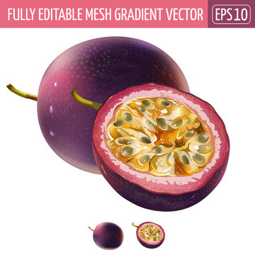 Passionfruit on white background. Vector illustration