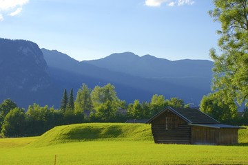 Bayern, grüne Wiese und Berge.