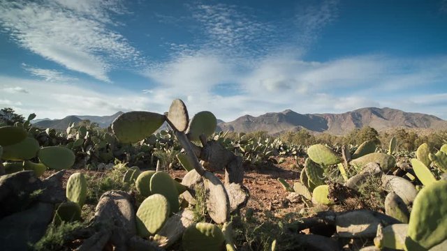 beautiful cabo de gata desert landscape