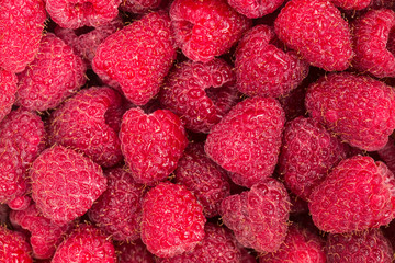 Fresh red raspberries