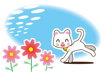 秋桜と白猫