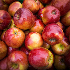 Fototapeta na wymiar apples close up at market. Red apples background