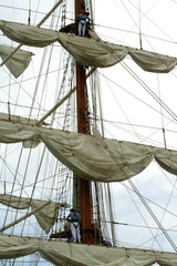 Obraz premium Vela