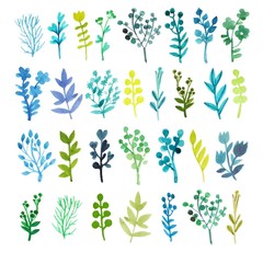 Watercolor autumn leaves