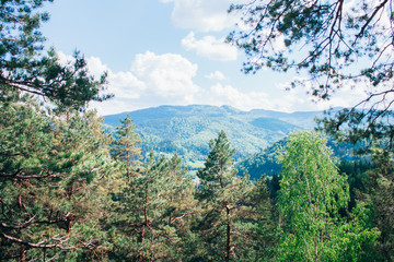 Landscape of Carpathians, Ukraine