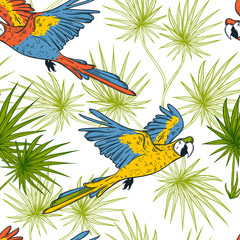 Seamless pattern with macaw parrots and palm leaves. Hand drawn vector illustration © kateja