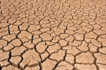 dry cracked soil.