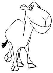 Fun camel