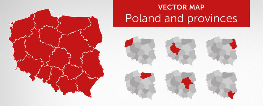 Fototapeta Wektorowa mapa kraju Polska i województwa vol.2