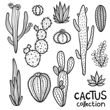Cacti Hand Drawn Abstract Collection