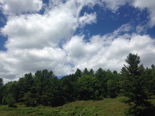 Fototapeta na wymiar peaceful summer day in rural Vermont