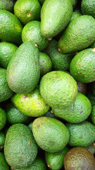 Fresh green avocado on a market