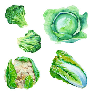 Set cabbage. Cabbage, broccoli, cauliflower, Chinese cabbage. Is