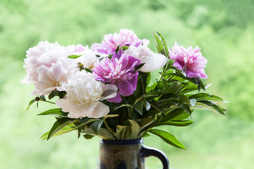 A bouquet of white and pink peonies in green background.  