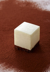 Cake on cocoa powder background