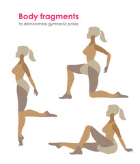 Fragments of body for demonstrating gymnastic poses