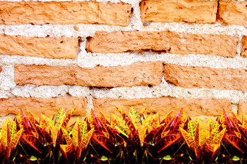 Background of brick wall texture. © worrachet