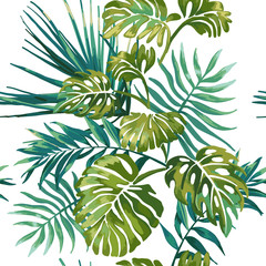 Naklejka na ściany i meble Jungle leaves on a white background. Tropical green Monstera.