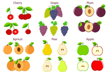Colorful fruits set - apples, cherries, pears, grapes, apricots,