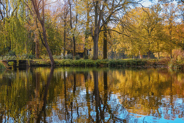 Fototapeta na wymiar The enchanting beauty of autumn park.