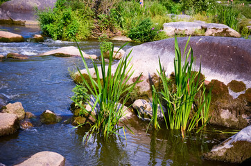 Landscape with forest, river and stones in Ukraine