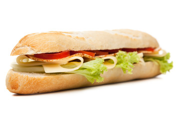 Panini grilled sandwich