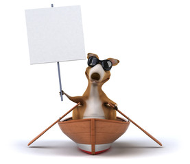 Fun kangaroo © Julien Tromeur