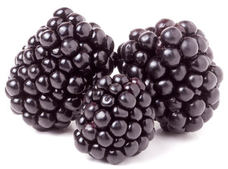 three blackberry isolated on a white background closeup