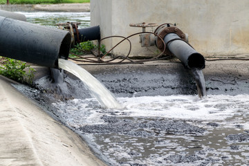 Water pollution in river because industrial not treat water before drain.