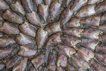 Sun-burn fish for sell on street of Bangkok, Thailand