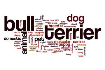 Bull terrier word cloud concept