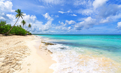Beautiful beach with palm trees. Tropical paradise beach with white sand. Summer tropical landscape, panoramic view. Summer vacation travel holiday background concept. Caribbean beach. Palm beach