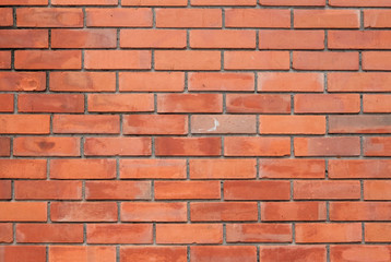 brick wall as a nicely textured background.