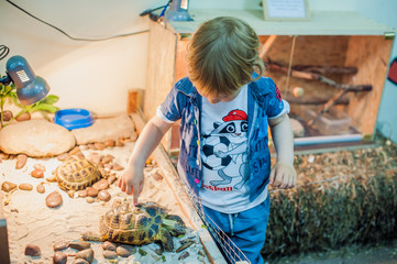 Boy petting a turtle