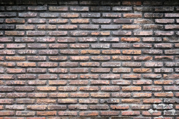 brick wall as a nicely textured background.