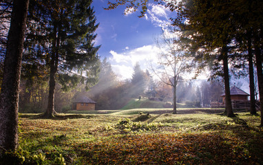 Golden morning sun rays on green grass in autumn. Beautiful nature background.