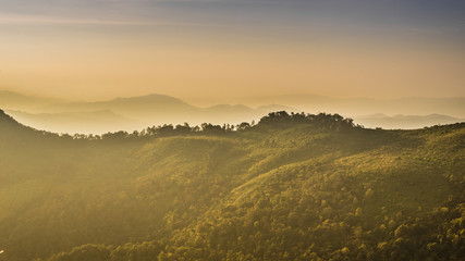 Phu Soi Dao National Park : Thailand