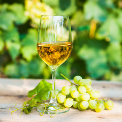 Green grape and one glass of white wine in the vineyard