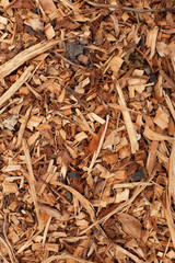 Bark, leaves and wood chippings background